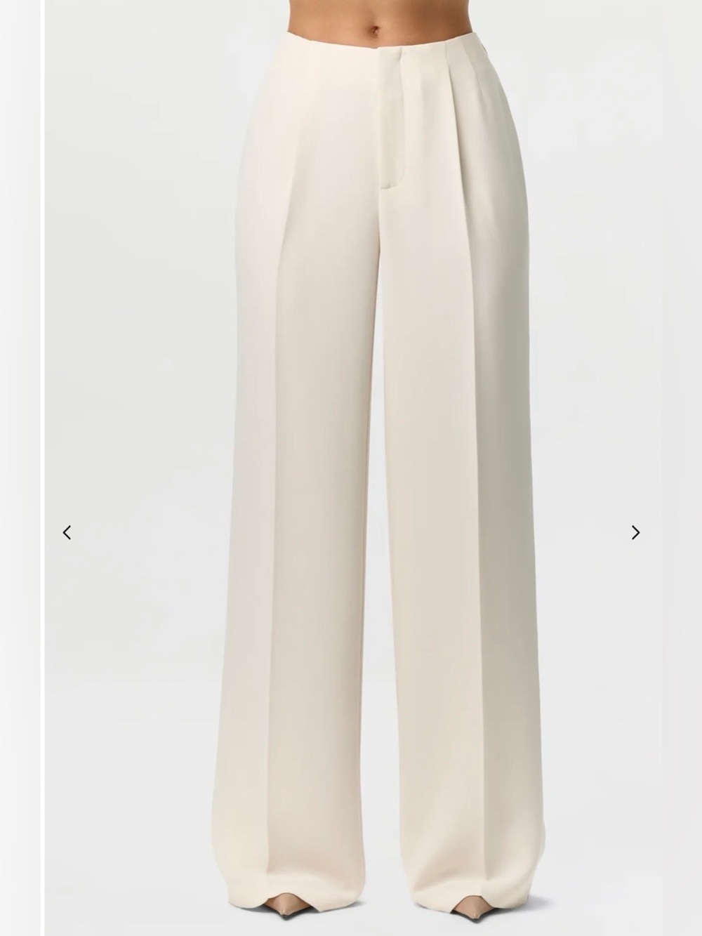 Naked Wardrobe Suiting Pleated Wide-Leg Pants Crema *flawed